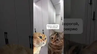 Кухни от производителя, Москва. Рассрочка 0%