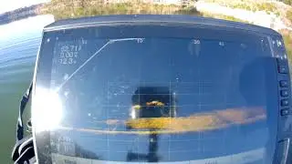 livescope stripers