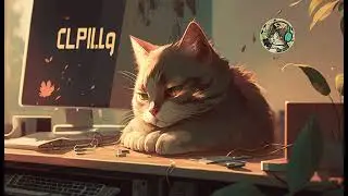 CatSM lofi hip-hop brazil
