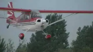 Citabria Spin, Low Pass and Landing