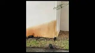 Re-Mov Rust & Mineral Stain remover - painted wall