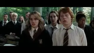 Ron and Hermione Tribute - Cant Help Falling In Love (21 Pilots)