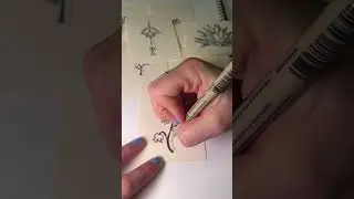 Paper ASMR #signature #asmr #paperprinting