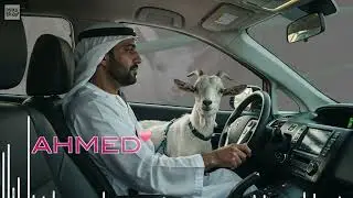 Patolo Disco - Ahmed