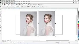 Mirror Object | Coreldraw Mirror Object horizontally | Mirror Function | How to use Mirror tool