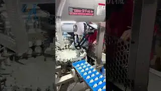 Full-automatic intelligent dumpling machine. #restaurant #cookwaressets #dumpling