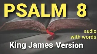 Psalm 8 - King James Version