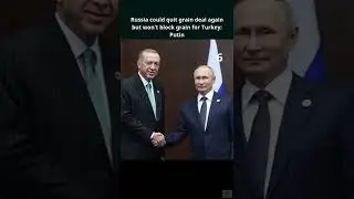 Russia could quit grain deal again but won't block grain for Turkey: Putin