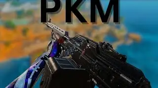 Is This PKM Build The New Meta? | Blood Strike
