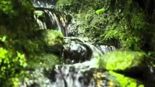 Jewish Meditation - Nurturing Positive Emotion