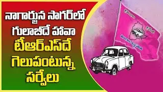 Nagarjunasagar Exit Poll 2021 | Nagarjunasagara By-Election 2021 Opinion Poll | Great Telangana TV