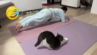 Funniest Cats and Dogs Clips 2025😼🐶Try Not To Laugh😜 Part 9