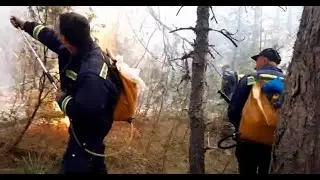 Požari u Crnoj Gori - Uzroci i posljedice