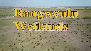 Bangweulu Wetlands