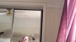Cayendo - Frank Ocean