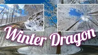 The Prettiest Tail of the Dragon Video