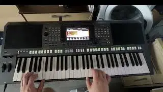 Sławomir - Megiera (Cover Yamaha PSR S770)