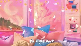 Pink Sky | Animated Stream Overlays | Twitch Package | Twitch Stinger Transtition