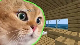僕の一日をダイジェスト #shorts #猫ミーム #猫マニ