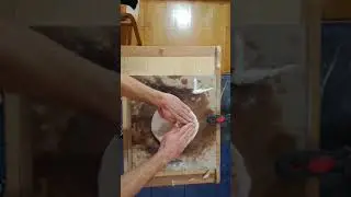Pizzat&eacute;szta ny&uacute;jt&aacute;sa