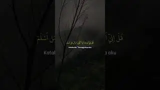 Beautiful recitation - Surah Al-An'am 14