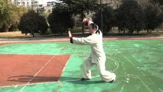武当太乙逍遥掌1
