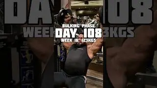 DAY -08 #motivation #bodybuilding #bodybuildingmotivation #protein #bulkingworkout #shoulder