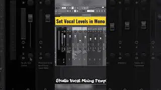 Set Vocal Levels In Mono | #FLstudioshorts