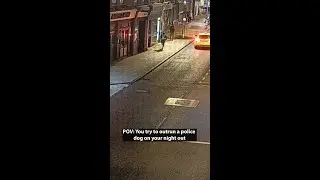 Watch as police dog takes down violent suspect in 8 seconds
