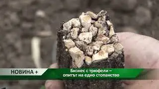 Новита плюс: Бизнес с трюфели – опитът на едно стопанство