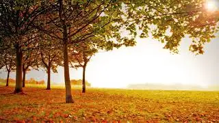 Spiritual Tools: Golden Sun - Guided Meditation