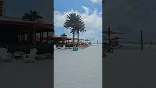 Frenchy's Rockaway Grill, Clearwater, Florida. #Beach #beachlife #beachbar