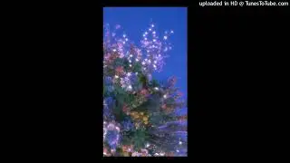 [FREE] Ambient Trap + Experimental Type Beat 