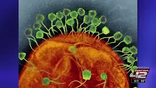 Video: Phages: Fighting Deadly Infections
