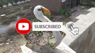 How to Make Swan Design Unique Work of Art Creating  plant pot made from fabric and cement