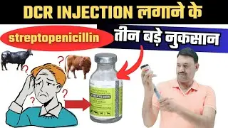 DCR Injection Veterinary के 3 बड़े नुकसान DCR Injection ke fayde