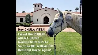 Redressing our dark Government Horses at City Hall