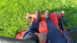 What we Lawn Men don't talk about - The Mosquito