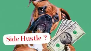The 'AirBNB for Dogs' - Sniffspot Side Hustle
