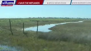 Non-profit 'Artist Boat' trying to save Galveston wetlands from development