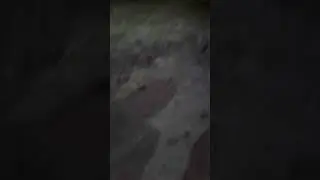 Анатолий и ППС