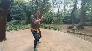 Ngo Cho Kun - Crane on One Foot Leg Stance Method (Tang Ka Ho Huat)