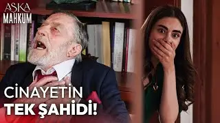 Miras İ&ccedil;in Babasına Kıydı! | Aşka Mahkum 40. B&ouml;l&uuml;m