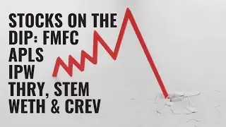 Stopy do zanurzania: FMFC, APLS, IPW, THRY, STEM, WETH i CREV