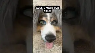 Australian Shepard mask for sale now! #therian #furry #catmask #mask #therianthropy #theriangear