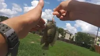 SUPER Dirty Creek Fishing