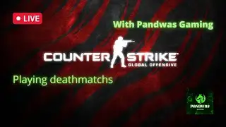 CS:GO Live streaming Pakistan | Pandawas Gaming