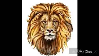 JACK YATES LIONS - Zombie Nation