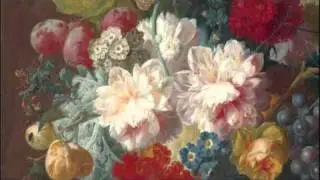 G. Tartini: Concerto for viola da gamba (or violoncello), strings & b.c. in A major / Il Gardellino