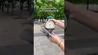 Picking up dog poop 🐶💩